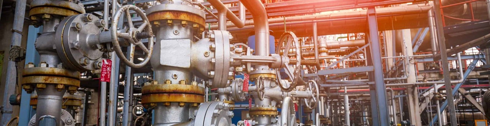 Flanged gate and globe valves on a process line